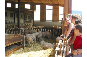 #Circuit laine : #visite de #fermes à #Lacaune les Bains Mairie de #Lacaune les Bains